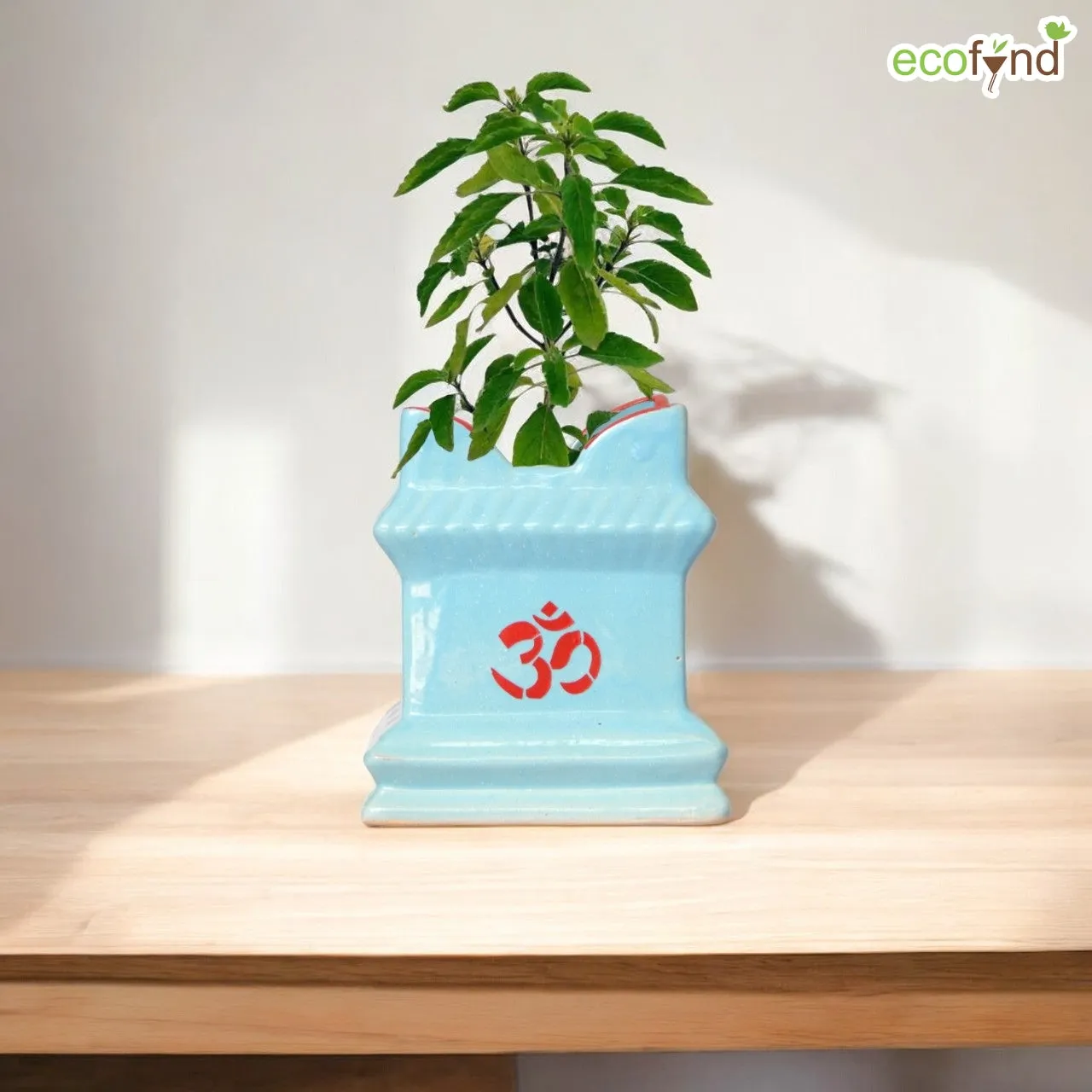 Ceramic Tulsi Plant Pot